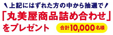 prize-top