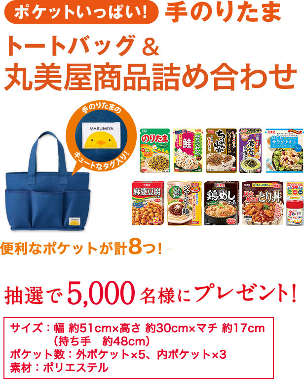 マークで当たる！コース│家族の初夢キャンペーン│丸美屋