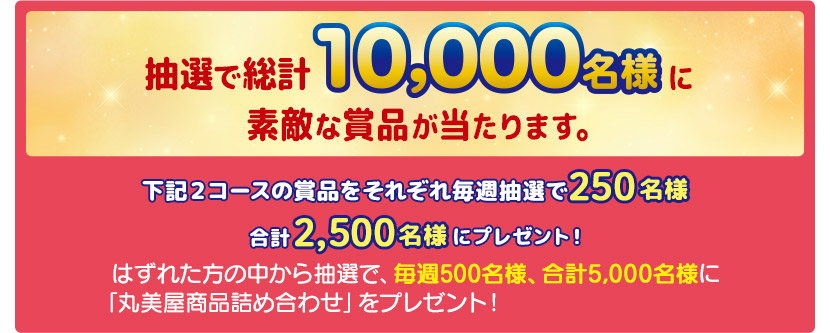 抽選で総計10,000名様に素敵な賞品が当たります。下記2コースの賞品をそれぞれ毎週抽選で250名様、合計2,500名様にプレゼント!はずれた方の中から抽選で、毎週500名様、合計5,000名様に「丸美屋商品詰め合わせ」をプレゼント!